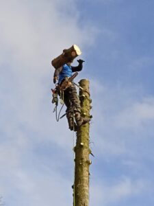 271657212_4686516204802751_7369836475197504370_n