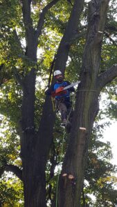 271661657_4686517864802585_6581407366315953782_n