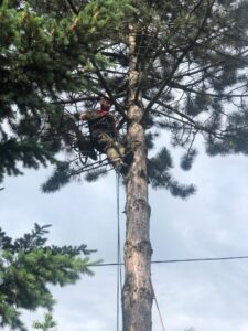 271696796_4686517204802651_7816835760554995963_n