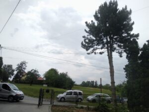 288865290_5182278065226560_692611978289349182_n