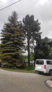 289169350_5182277461893287_6633729991205151059_n