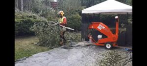 369603109_6455264881261199_3911013975518323180_n