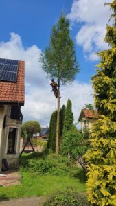 448057402_7603005706487105_3583650109084577353_n